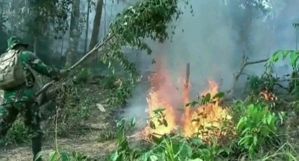 16,5 Hektar Lahan Terbakar
