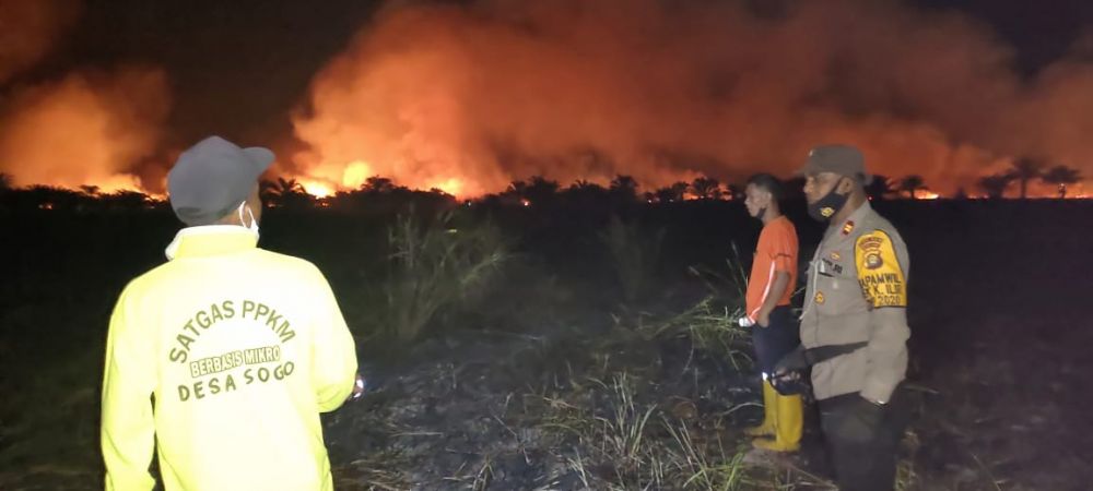 40 Hektar Lahan Gambut di Desa Sogo Hangus Terbakar, Polres Muaro Jambi Selidiki Penyebab Kebakaran