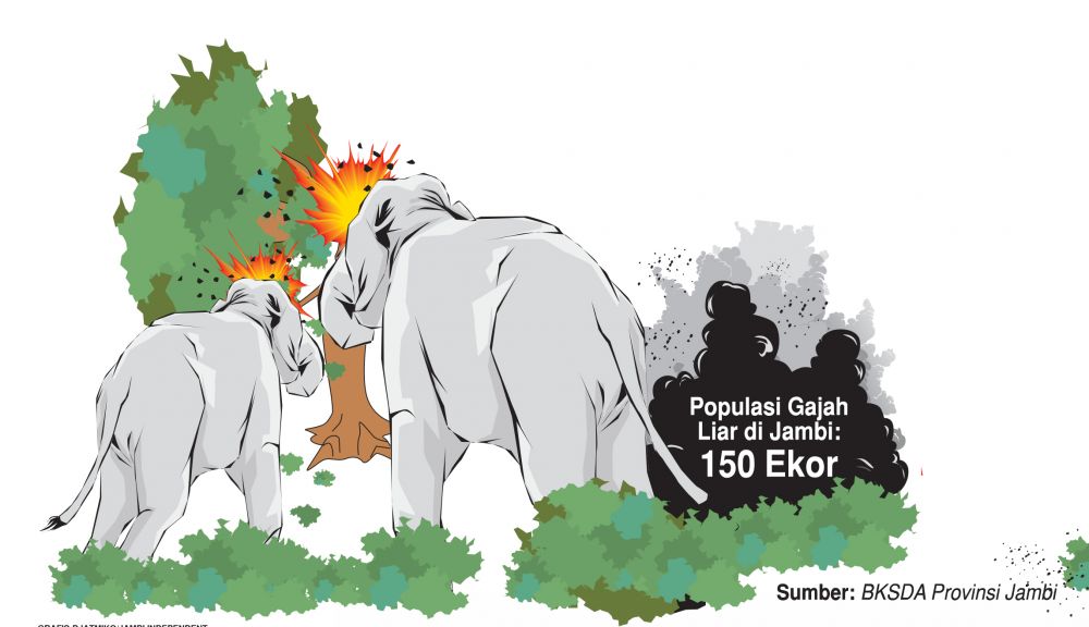 Gajah dari Jambi Serang Warga Indragiri Hilir   