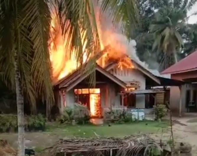 Si Jago Merah Ngamuk Lagi di Merangin 