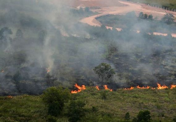 Karhutla Masih Terpantau di Sarolangun