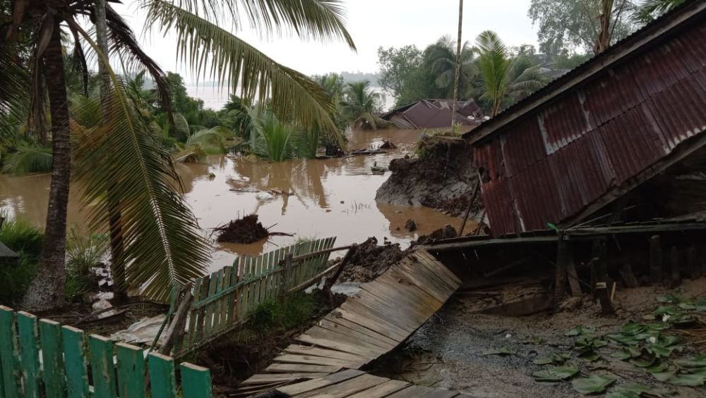 Longsor, Dua Rumah dan Satu Musala di Senyerang Tanjab Barat Hanyut