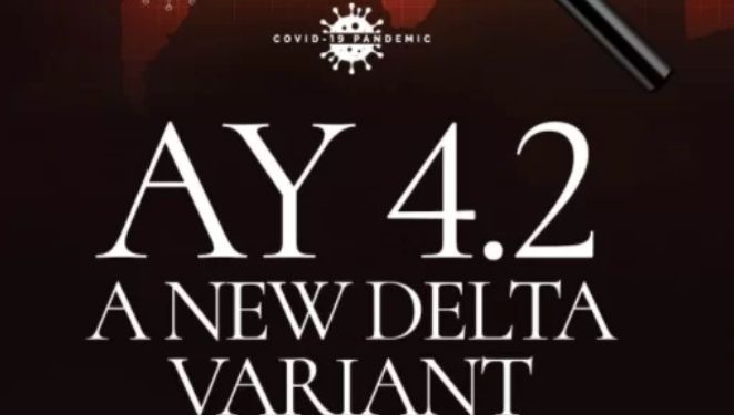 Awas! Varian Delta AY.4.2 Ditemukan di Malaysia, Pemerintah Indonesia Siaga
