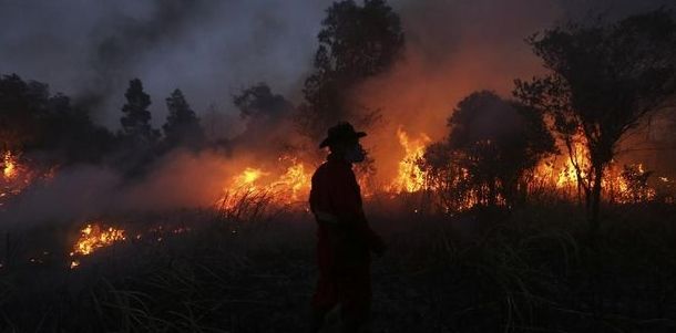 172,9 Hektare Lahan Terbakar