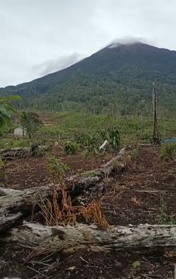 Selamatkan Hutan Gunung Kerinci