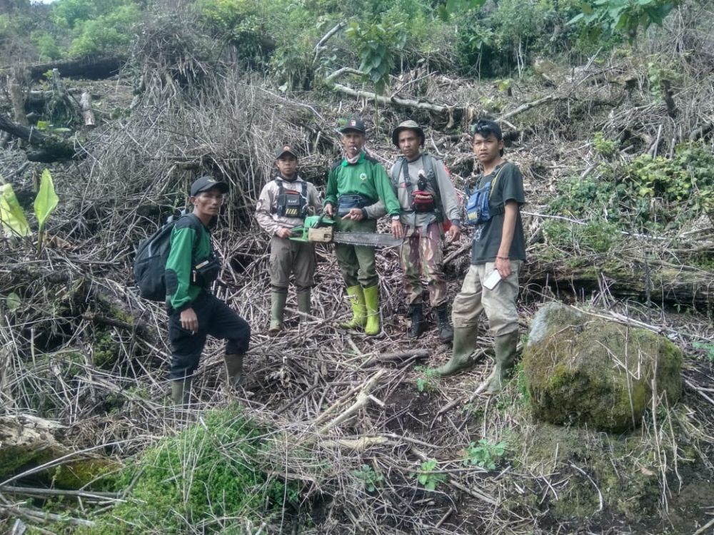 Perambahan Hutan Masih Terjadi