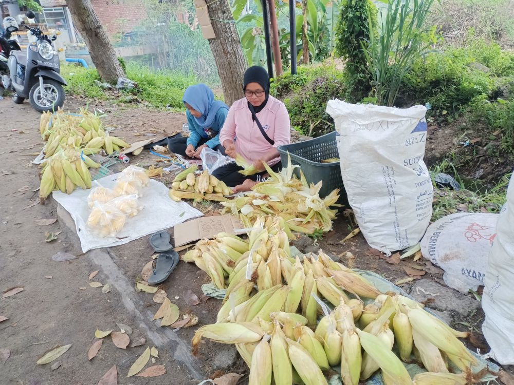 Pergantian Tahun, Pedagang Jagung Dadakan Tuai Omset