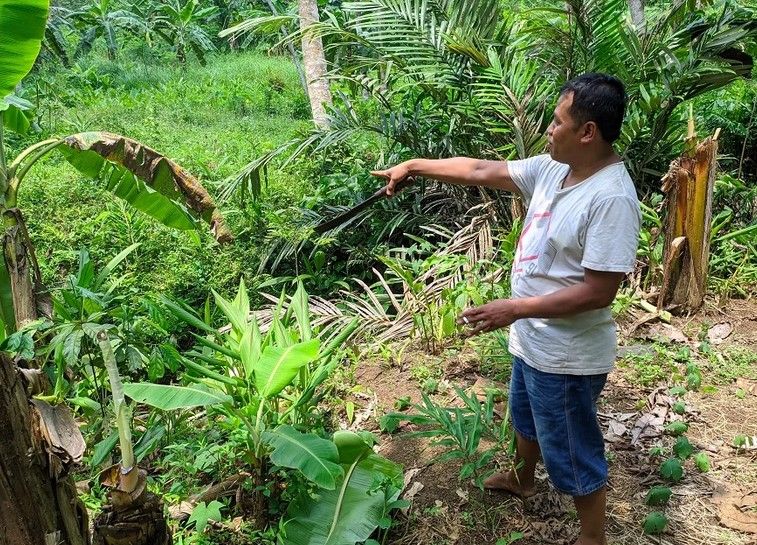 Macan Melompat Parit, Dilempar Batu, Mengaum Keras Banget, Ini Kesaksian Warga Windunegara Wangon