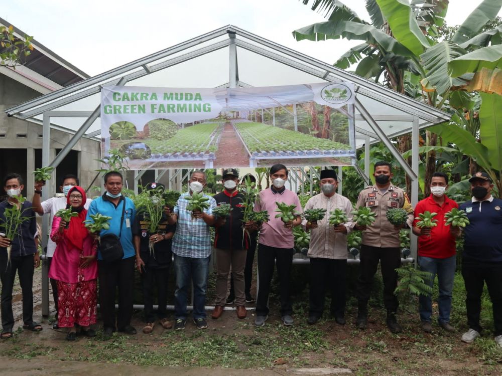 Ketua DPRD Provinsi Jambi Panen Perdana Sayuran Hidroponik di Lingkar Selatan