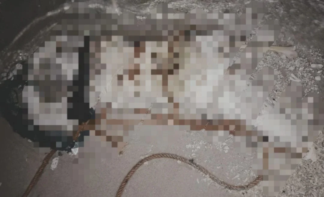 Penemuan Mayat Wanita Membusuk di Pulau Berhala, Kondisinya Mengenaskan