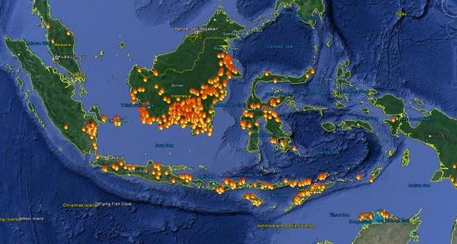 267 Hotspot dan 90,6 Hektar Terbakar Tahun Lalu