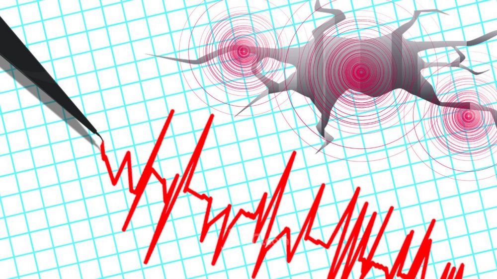 Gempa Magnitudo 4,6 Mengguncang Lombok, Kedalaman 10 Kilometer