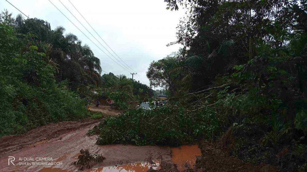 Aksi Protes Warga Sungai Gelam: Tebang Pohon, Hadang Jalan 