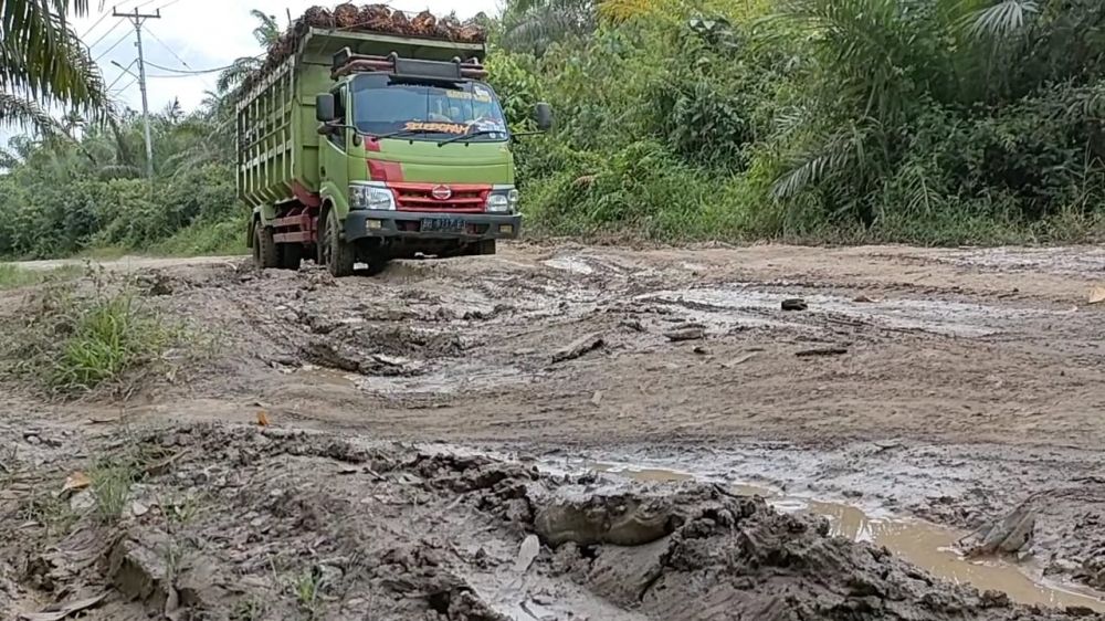 Jalan Lintas Betara-Kualabetara Rusak Parah, PT Pelda 'Abaikan' Kesepakatan Bersama Pemkab