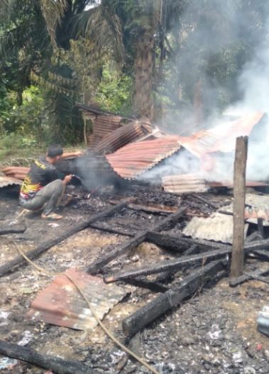 Satu Unit Bedeng Dua Pintu di Batangasam Ludes Dilalap Api