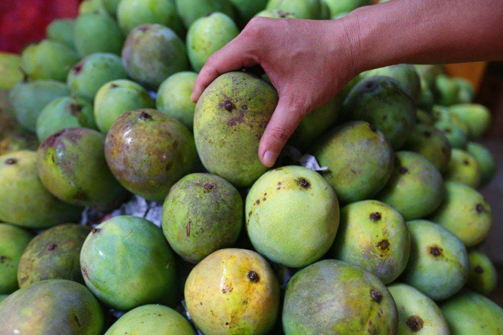 4 Jenis Makanan yang Menjadi Pantangan Bagi Penderita Penyakit Jantung