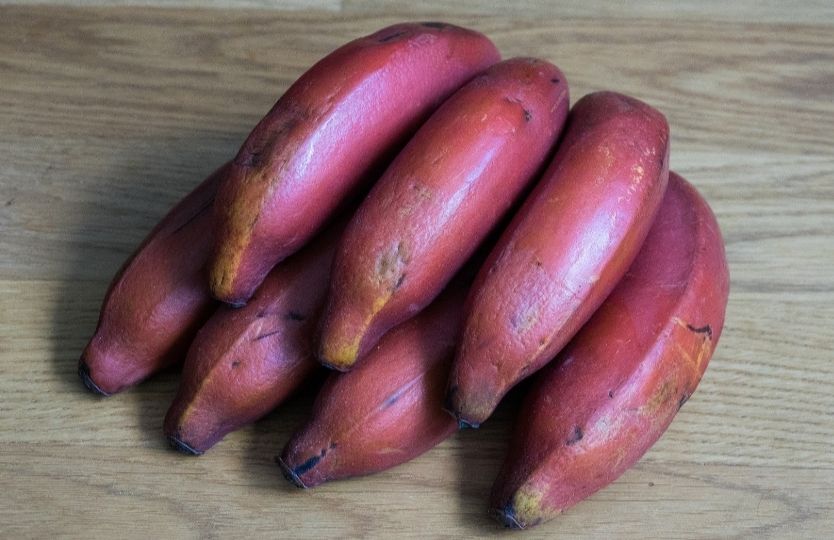 4 Manfaat Pisang Merah, Kolesterol Langsung Ambyar