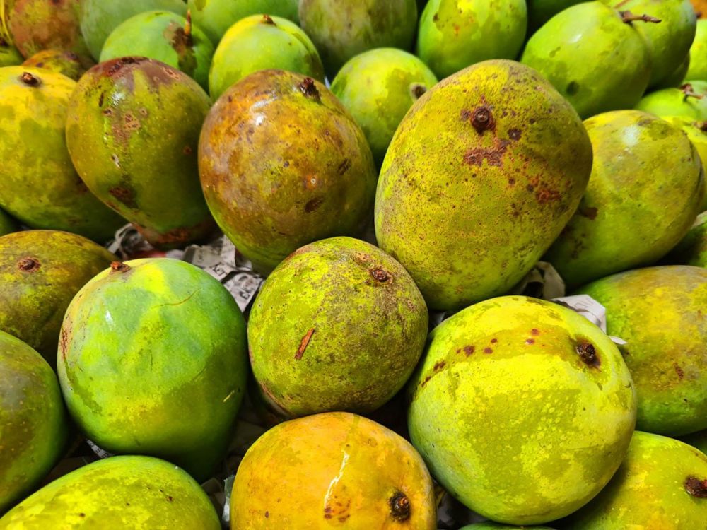 7 Manfaat Buah Mangga yang Tak Terduga, Bisa Cegah Timbulnya Penyakit Menakutkan Ini