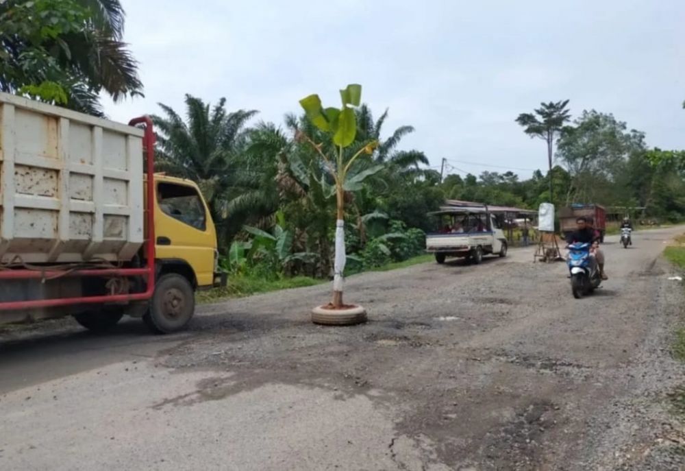 Protes, Warga Sridadi Tanam Pohon Pisang Tengah Jalan