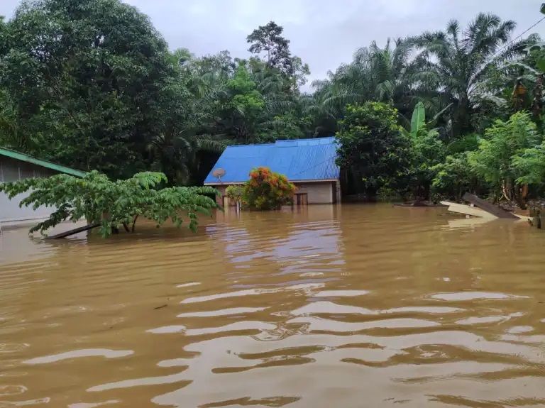 Puluhan Rumah Warga di Bengkulu Utara Terendam Banjir
