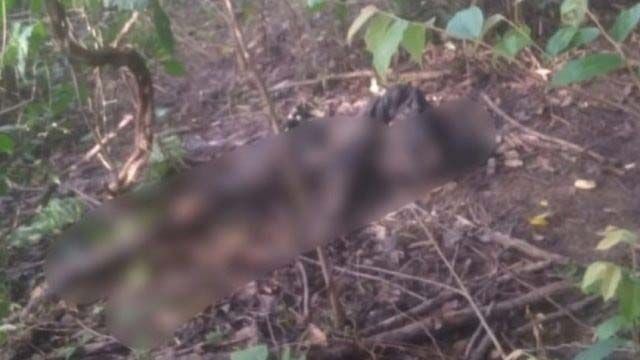 Warga Geger, Mayat Tanpa Kepala Ditemukan di Hutan