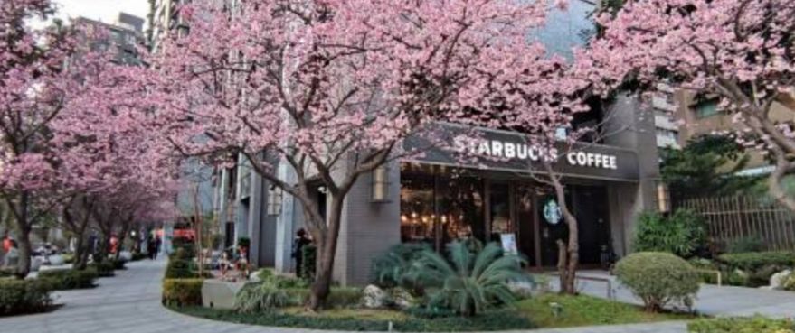 Gegara Pakai Bahan Kadaluarsa, Dua Gerai Starbucks Didenda Rp3 Miliar