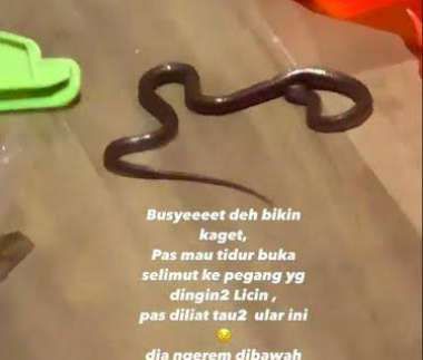 Dingin dan Licin, Lydia Kandou Kaget Pegang Sesuatu dari Balik Selimut