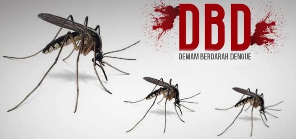 Berikut Makanan Tinggi Vitamin Untuk Mempertahankan Trombosit Ketika Menderita DBD