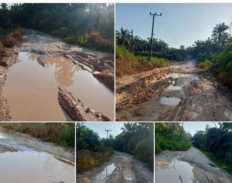 Candaan Komentari Jalan Rusak di Bahar, Netizen: Sampe Koe Dadi DPR