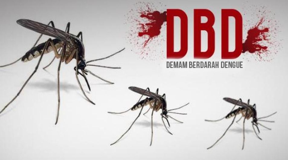 Jangan Sepelekan Demam  Berdarah, Kenali 5 Gejala Penyakit DBD