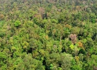 Puluhan Desa Masuk Kawasan Hutan Produksi