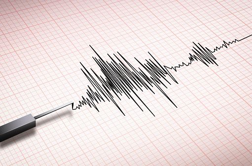 Gempa Terasa di Kota Kefamenanu NTT, Warga Jadi Ketar-Ketir