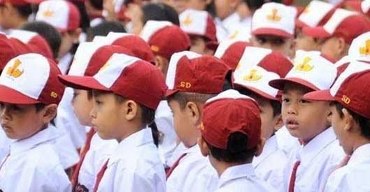 3 SD di Muarojambi Berpotensi Dimerger, Dinas Pendidikan Minta Ini Kepada Kepsek