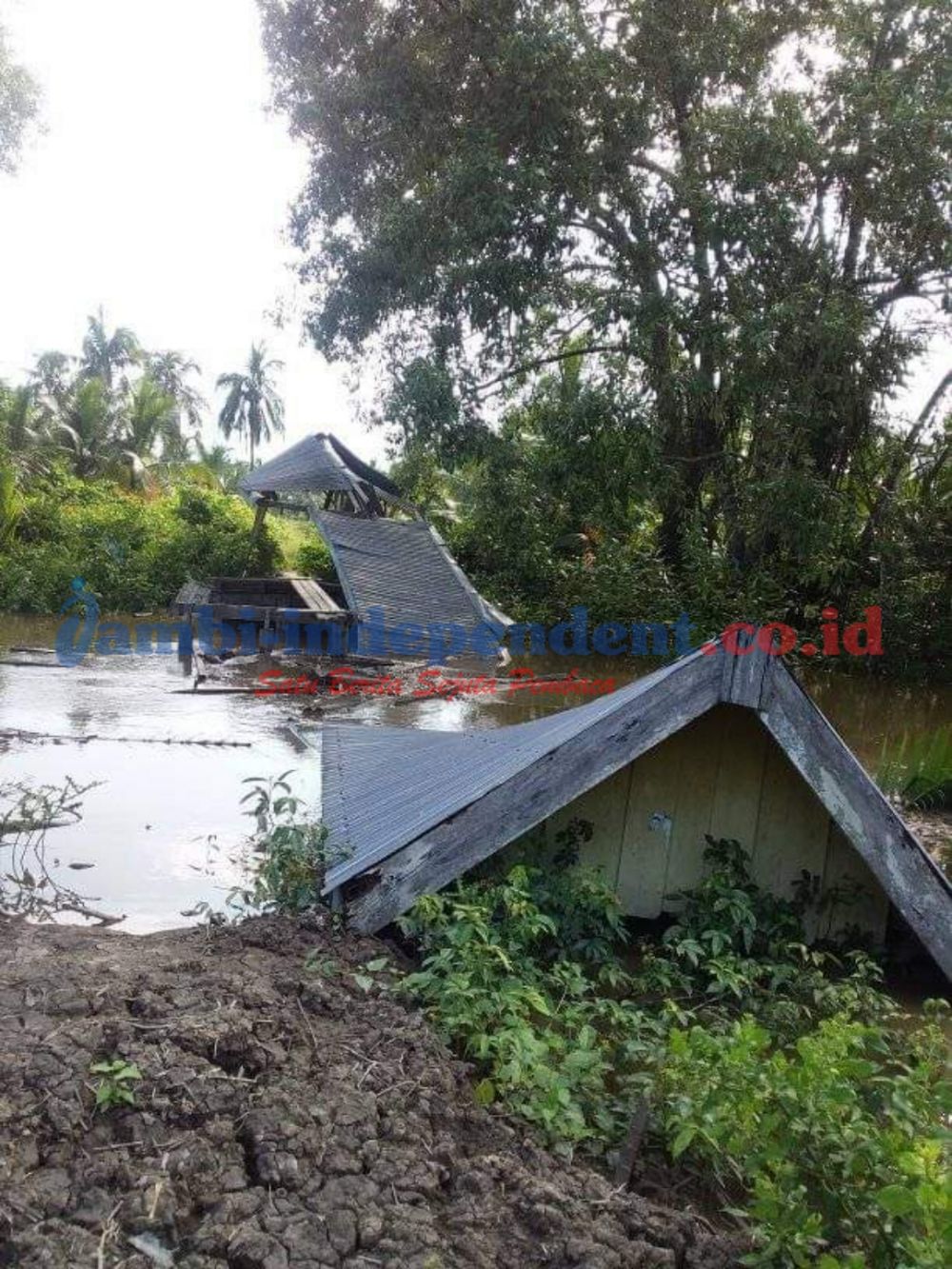 Tergerus Banjir Rob, Jembatan di Desa Tungkal I Tanjab Barat Tinggal Kenangan