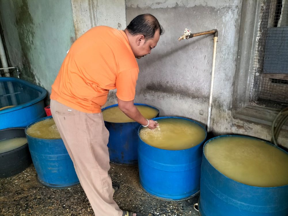 Pilih Tak Mau Ikut Mogok Produksi, Perajin Tempe Kota Jambi: Nanti Malah Nyusahi Kami