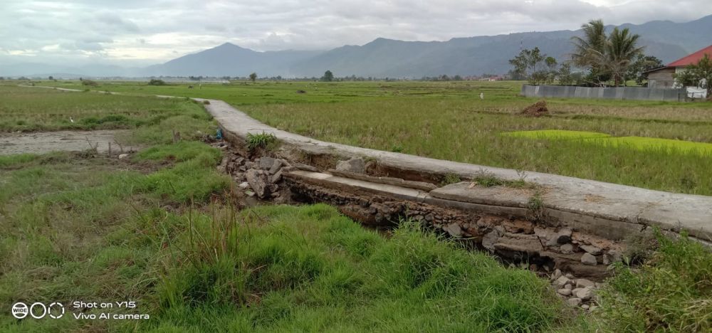 Luasan Lahan Sawah di Kerinci Berkurang,  Dinas Tanaman Pangan Hortikultura Tampik  Penyebabnya 