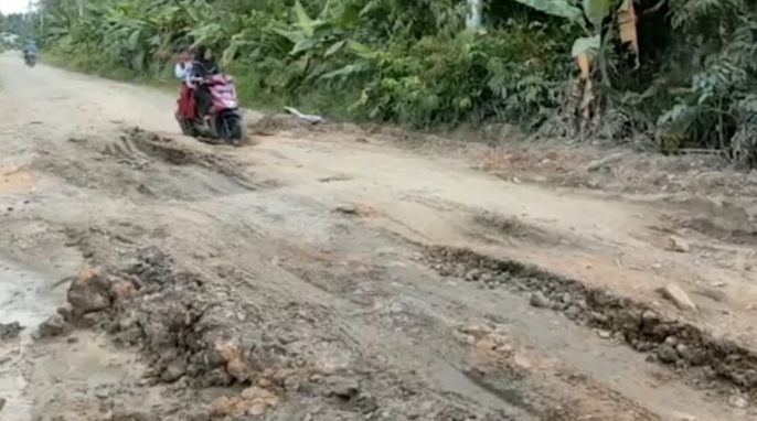 Bupati Tanjab Barat Ancam Cabut Izin PT Felda Jika Tak Serius Rehab Jalan Betara-Kualabetara