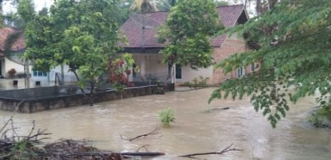 Hujan Semalaman, 9 Rumah di Wirothoagung Tebo Terendam Banjir