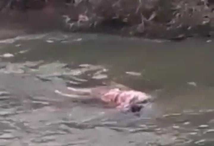 Heboh Warga Temukan Mayat Perempuan di Sungai Kawasan Jelutung