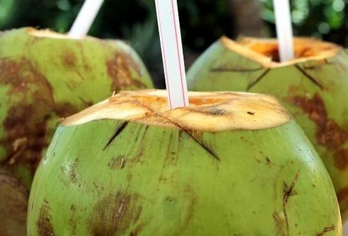 Wow, Ini Kandungan dan Khasiat Minum Air Kelapa