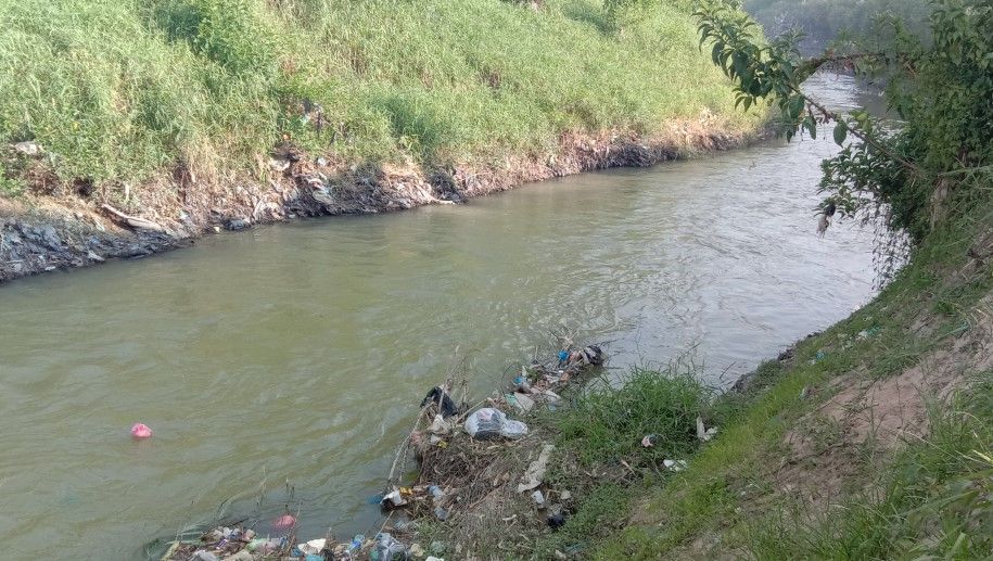 Sungai Batang Merao Kerinci Kian Surut, Petani Sawah Cemas   