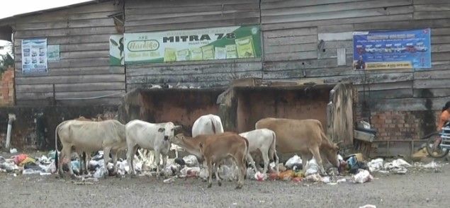 Sampah Menumpuk, DLH Tebo Berdalih Kekurangan Armada