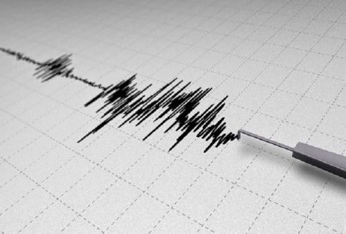 Halmahera Barat Diguncang Gempa Magnitudo 6,0