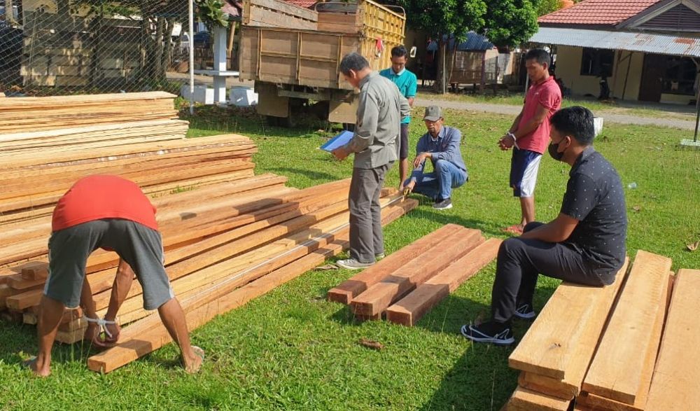 Terjaring Patroli, Tiga Diduga Pelaku Illegal Logging Diamankan