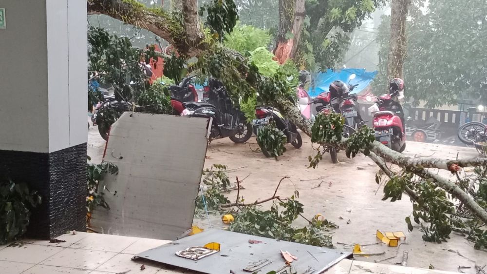 Hujan Disertai Angin Kencang di Bangko, Sejumlah Pohon Tumbang, Atap Rumah Beterbangan