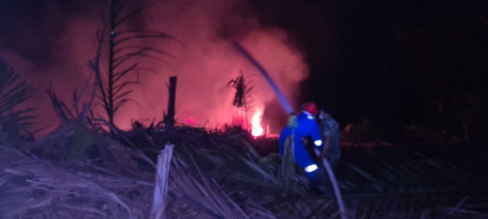 Bahaya..!! 7 Hektar Lahan Warga di Tanjab Timur Terbakar 