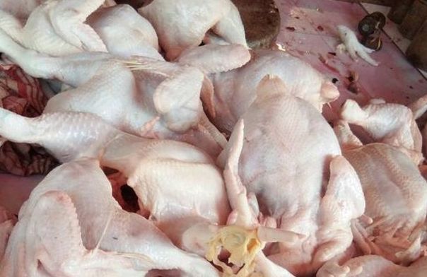 Di Tanjab Barat, Harga Ayam Eceran Merangkak Naik