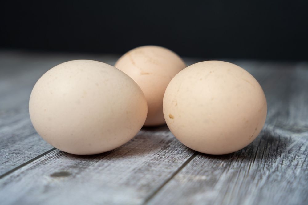 Waw! Ini 5 Manfaat Telur Ayam Kampung, Bisa Bikin Kulit Glowing