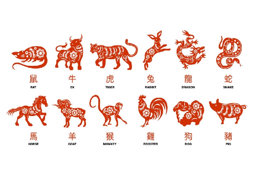 Nih! Ini 5 Shio Paling Beruntung Tahun Depan, Rezekinya Mengalir Deras Tanpa Henti