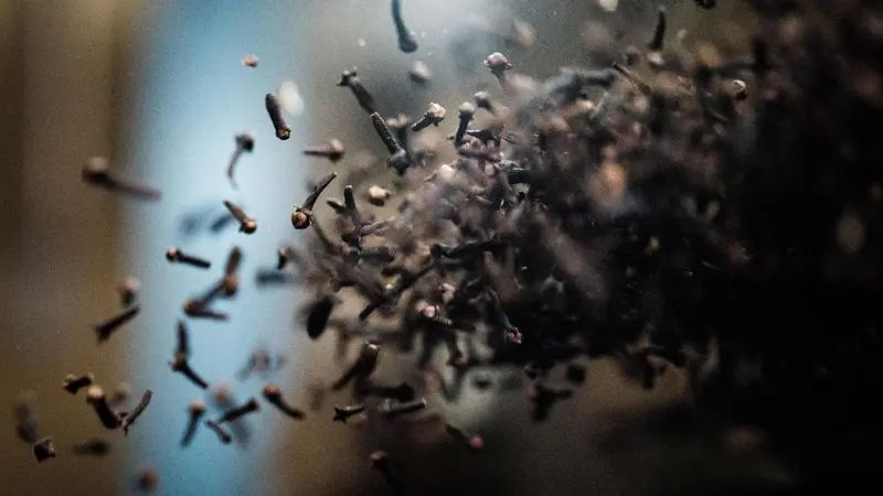 Satgas Cs-137 Konfirmasi Kontaminasi Cengkeh Berasal dari Lampung